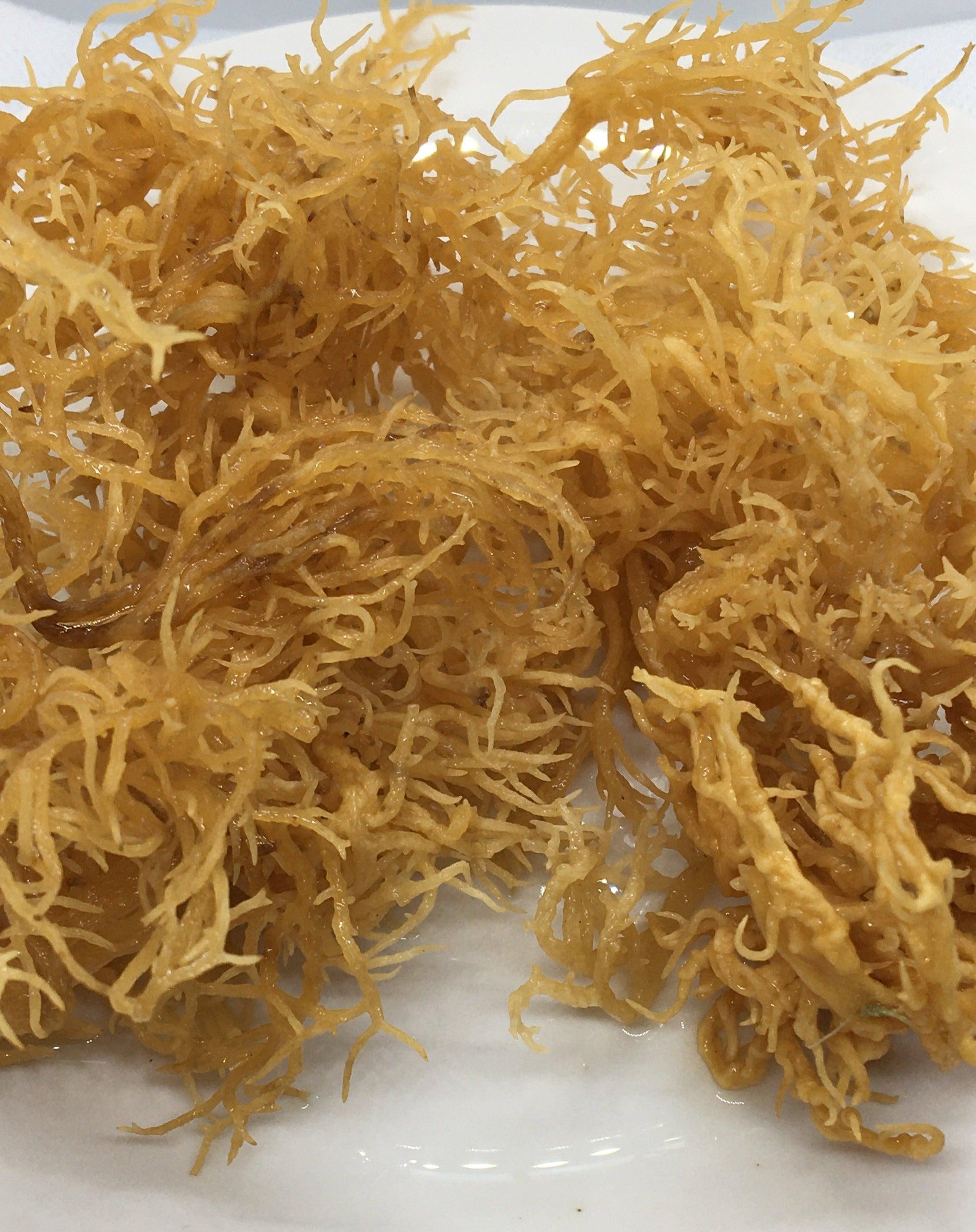 Fresh Sea Moss