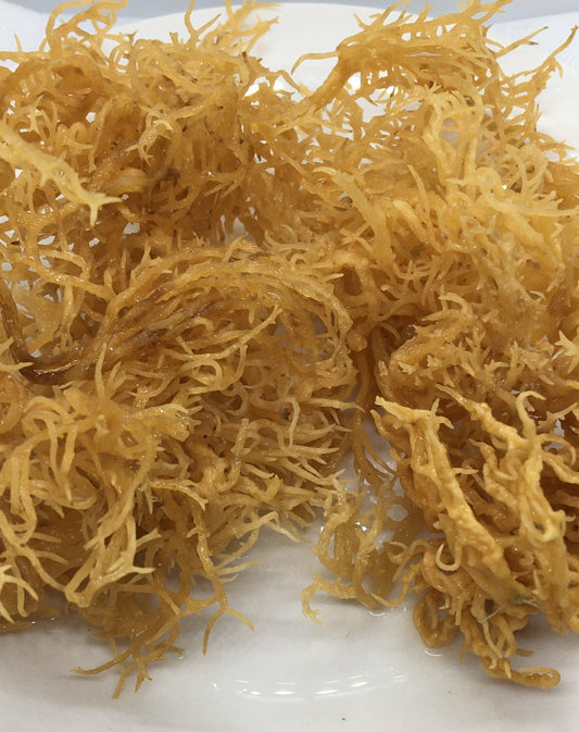Dried Saint Lucian gold sea moss