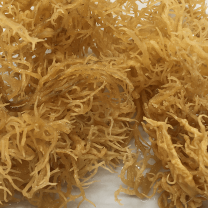 2oz Dried Seamoss | Natural Rich source of energy
