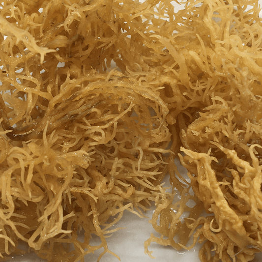 2oz Dried Seamoss | Natural Rich source of energy