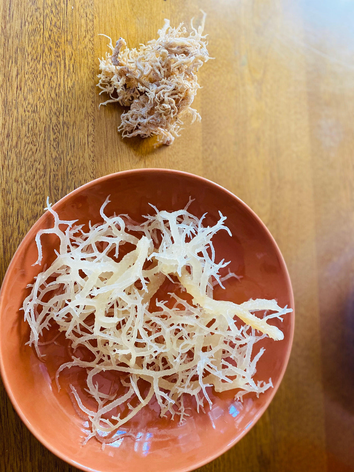 Dried and soaked Saint Lucian gold sea moss comparison