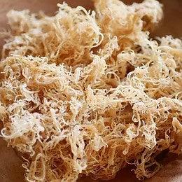 Sea Moss Gel, Wildcrafted Sea Moss Gel (Plain or Infused) | Raw